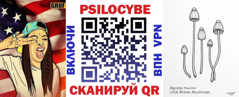 Галлюциногенные грибы Psilocybe  ОМГ ОМГ маркетплейс  Фрязино 